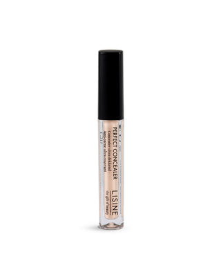 Perfect Concealer